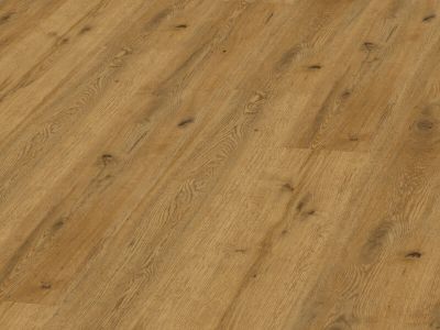 Vinylová podlaha Expona Domestic C 6 5821 Sherwood Oak