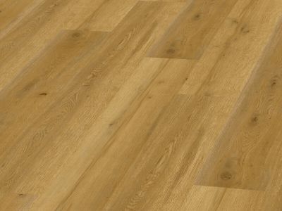 Vinylová podlaha Expona Domestic C 4 5834 Golden Valley Oak